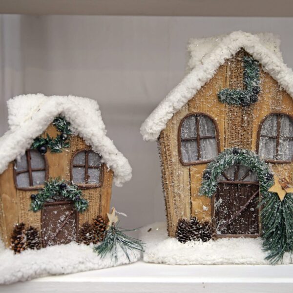 Piante di Natale - Floricoltura Burlon