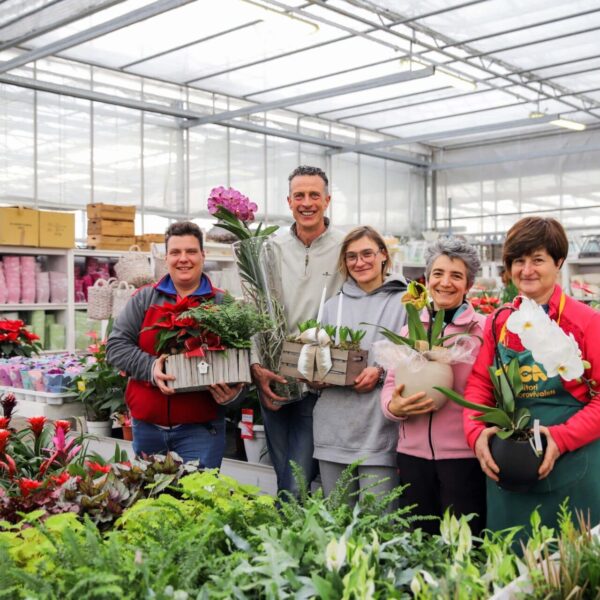 Piante di Natale - Floricoltura Burlon