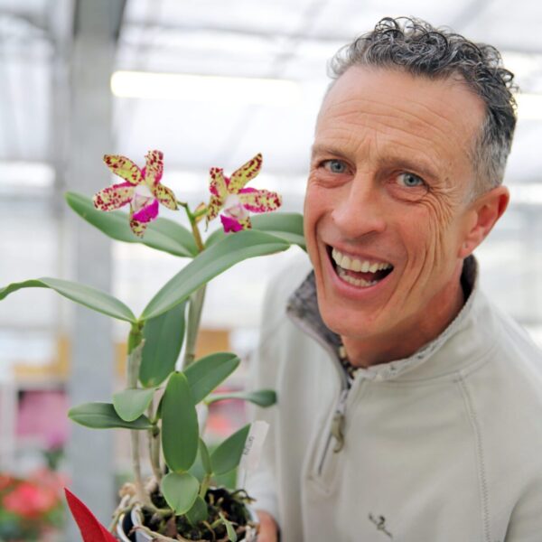 Piante di Natale - Floricoltura Burlon